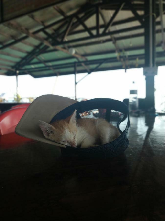 Mabul Backpackers